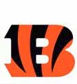 Bengals Patches Sweaters for NFL